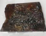 Slab Indo Jasper